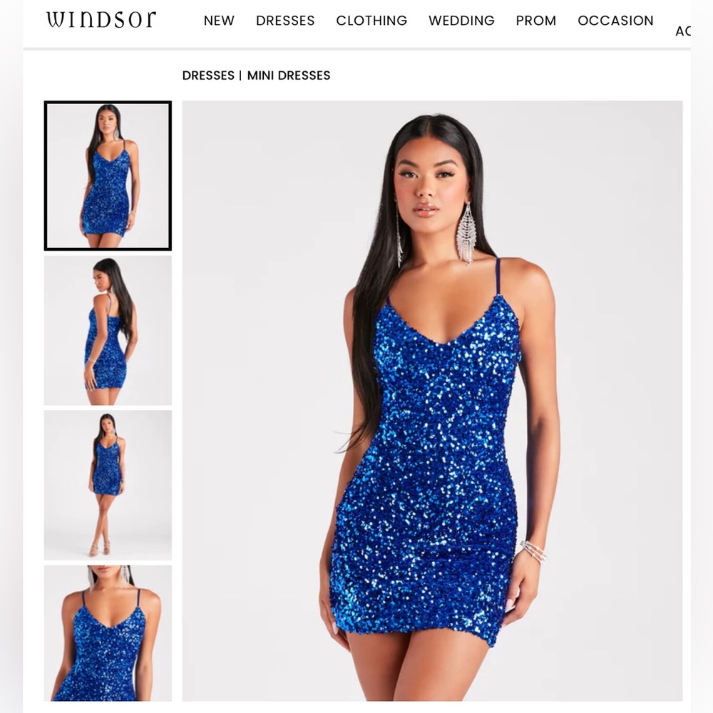 Windsor Kathy Iridescent Sequin Mini Dress
Size medium blue glitter